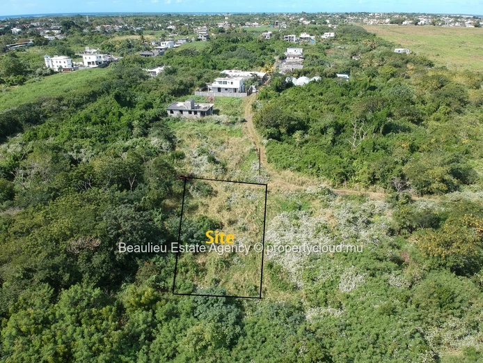Parcelle agricole à vendre – Réunion Maurel, Petit Raffray