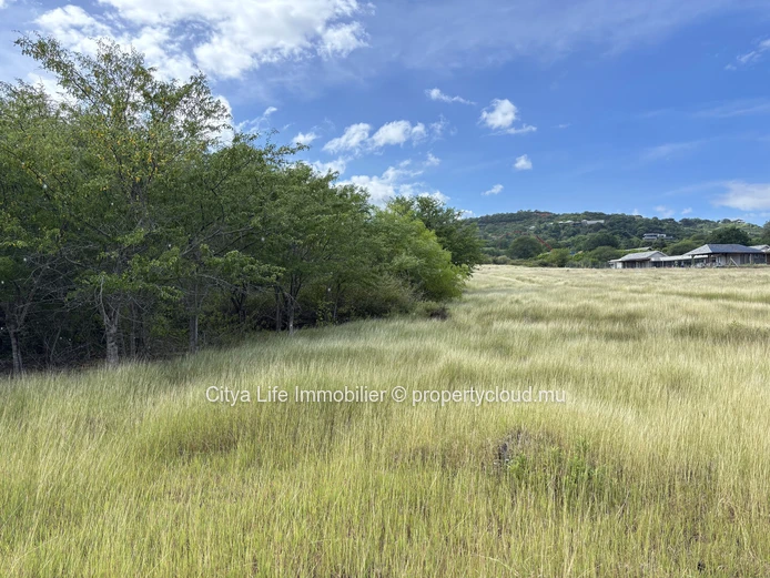 Prime Land for Sale — Black River |Domaine de Palmyre| 2090 m² | Rs