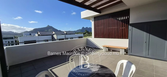 MOKA / HELVETIA  -  Charmant studio  en location - 72 m2