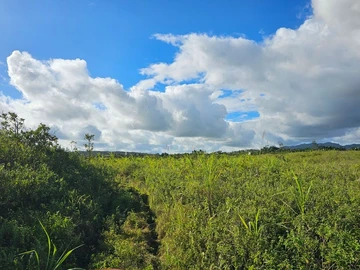 Agricultural Land