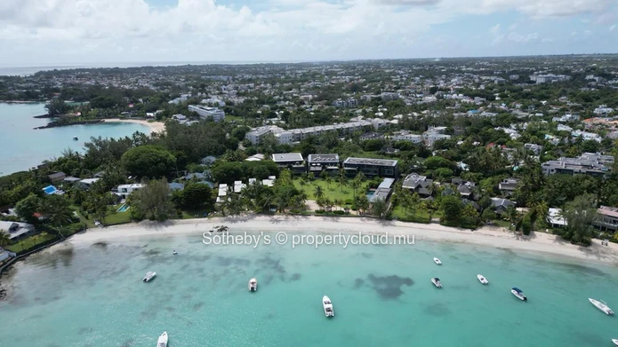 The Palmview