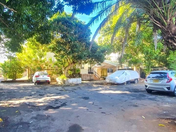 Immobilier Commerciaux