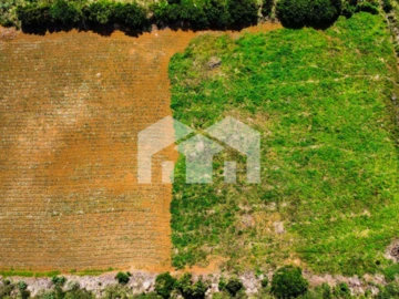 Agricultural Land