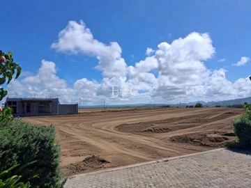 Land
