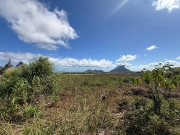 Agricultural Land