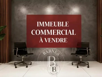 Commercial Property