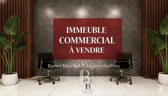 CUREPIPE - Immeuble Commercial - 1000 m²