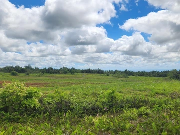 Residential Land