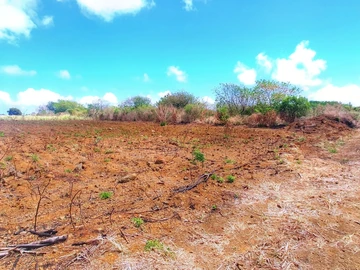 Residential Land