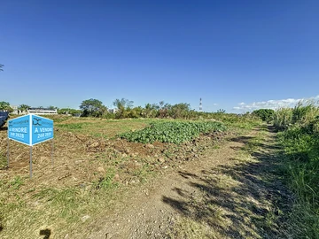 Land