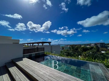 Penthouse de 3 Chambres