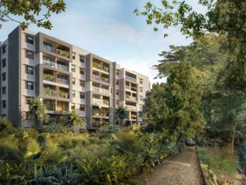 3 Bedroom Apartment