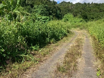 Land for sale in Vacoas