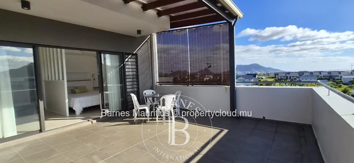 MOKA / HELVETIA  -  Charmant studio  en location - 72 m2
