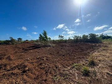 Land
