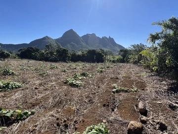 Agricultural Land