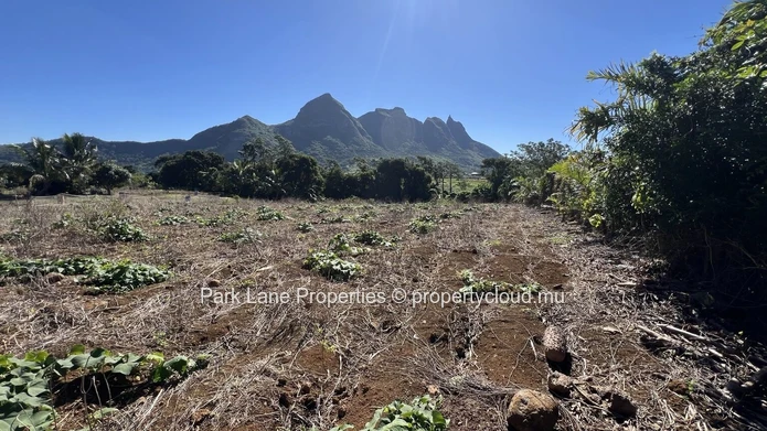 Terrain agricole avec vue panoramique sur les montagnes – L’Avenir
