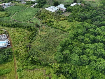 Terrain Agricole