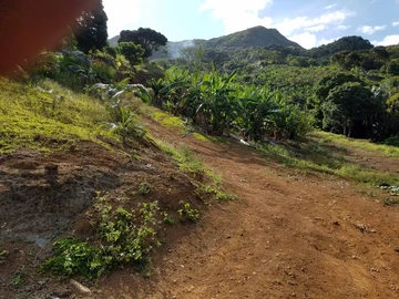 Land