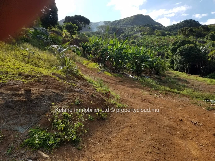 13.38 Arpents of Land for Sale | Anse Jonchée | Grand Port