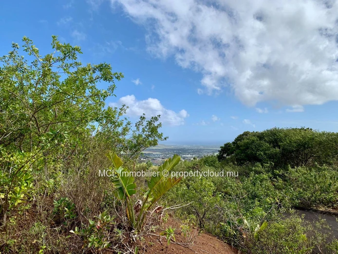 Agricultural land of 2,120.85m2 in Pamplemousses