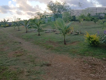 Agricultural Land