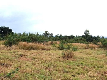 Land