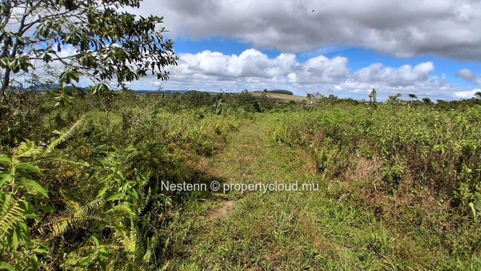 A vast plot of land, thousands of possibilities — 36,332 m² in L'Espérance