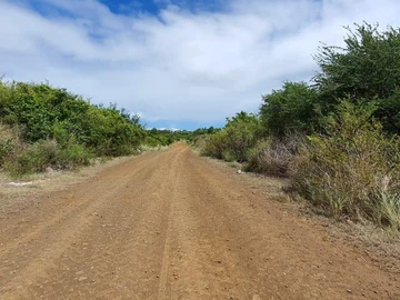 Agricultural Land