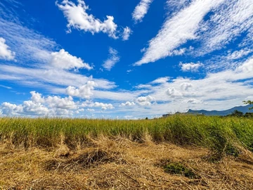 Agricultural Land