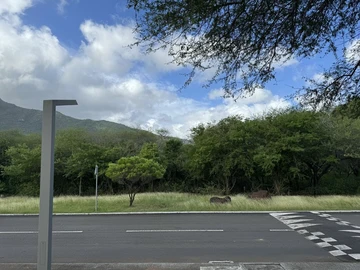 Residential Land