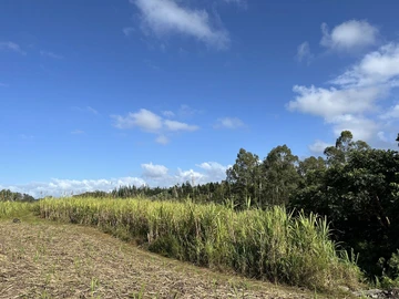 Agricultural Land