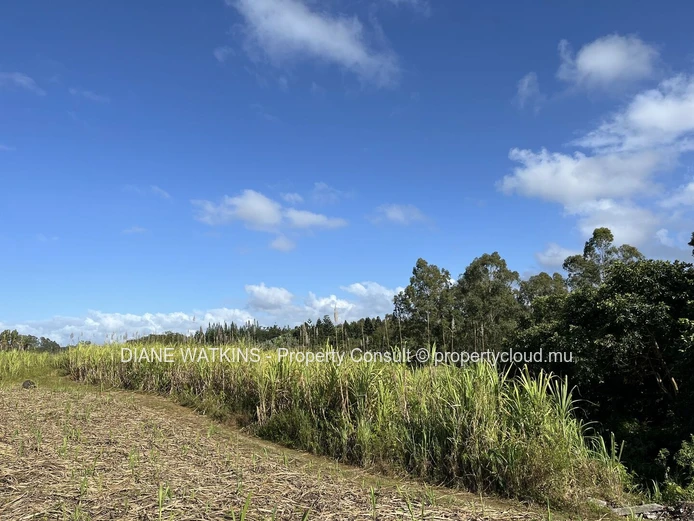 For Sale - Beautiful Agricultural Plot Bordering a River in Deux Bras.