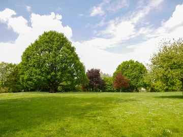 Residential Land