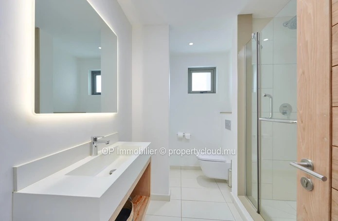 Penthouse PDS 2 chambres avec piscine privée à vendre à Péreybère