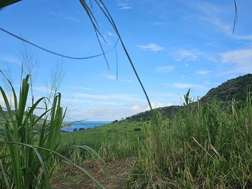 Terrain Agricole