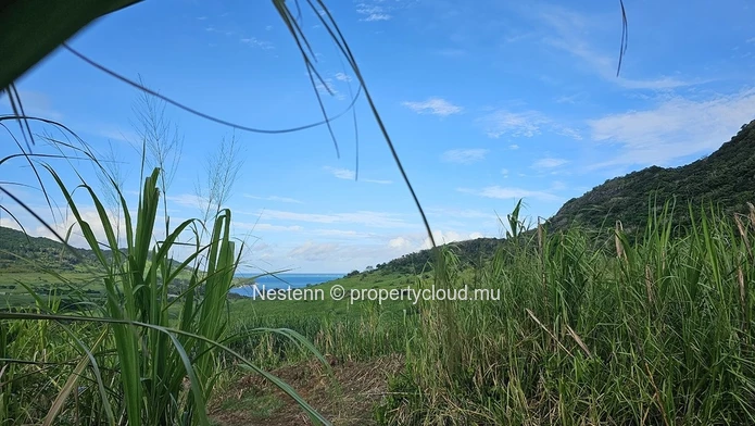 Agricultural Haven in valleys - 3 Arpents 55 perches of Pure Bliss