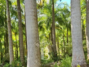 Terrain Agricole
