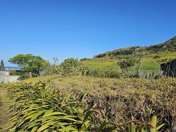 Terrain Résidentiel