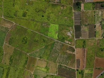 Agricultural Land