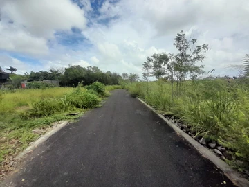 Land
