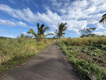 Residential Land