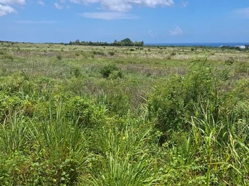Residential Land