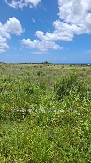 Grand Terrain Résidentiel à Vendre – Albion  50 Arpents 
