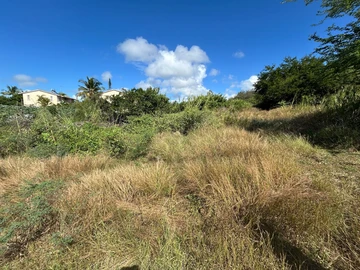 Terrain