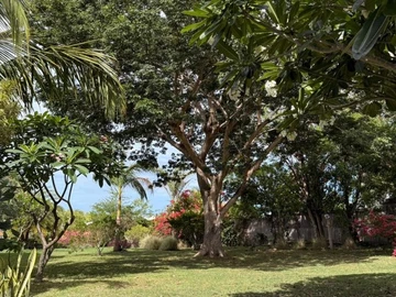 Residential Land