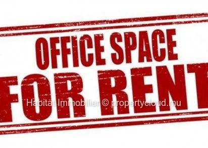 To rent : Unfurnished office of 55 m², ideally located in Port-Louis
