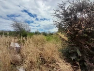 Agricultural Land