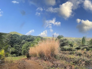 Land