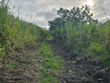 Terrain Agricole